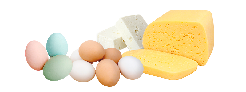 Fundo El Peumo, huevos, queso, delivery biobio